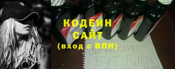 индика Баксан