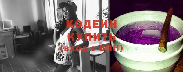 индика Баксан