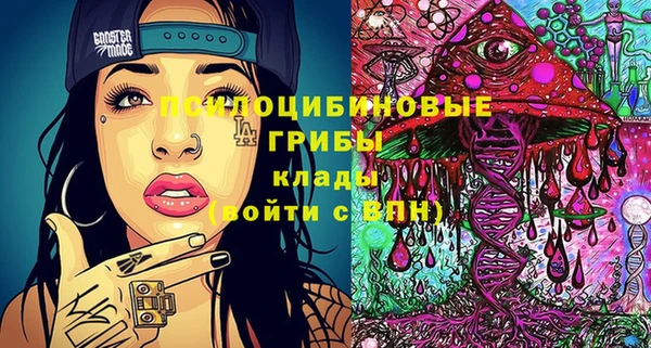 индика Баксан