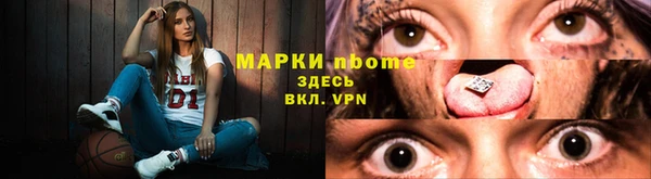 индика Баксан