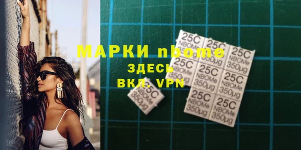 индика Баксан